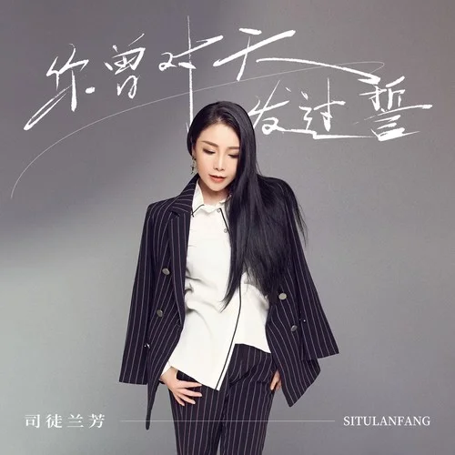 你曾對天發(fā)過誓 (DJ九零版)-司徒蘭芳