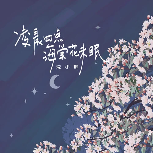 凌晨四點海棠花未眠-沈小曄