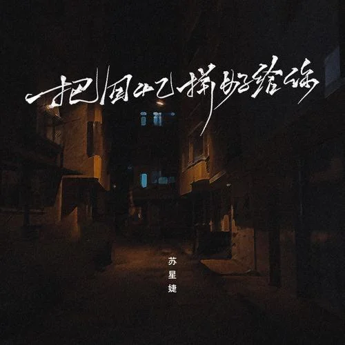 把回憶拼好給你DJyaha（狂飆DJ版）-蘇星婕