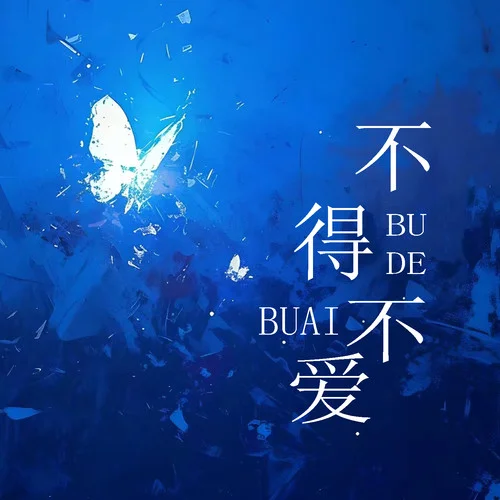 不得不爱(DJ版)-DJ鲤鲤&DJ鱼籽