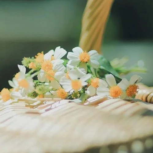 你 (惡作劇之吻純音樂)-A桃桃與眾樂樂