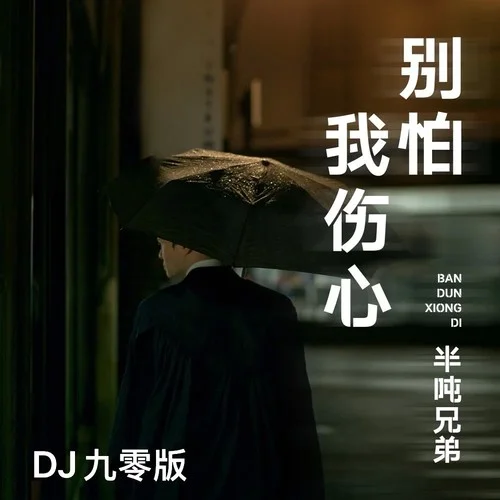别怕我伤心 (DJ九零版)-半吨兄弟