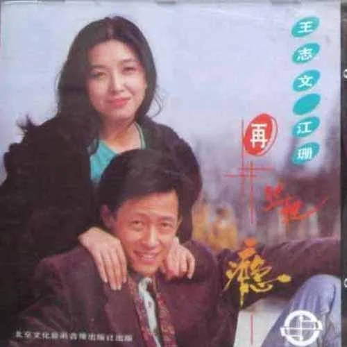 我悄悄地蒙上你的眼睛-王志文&江珊