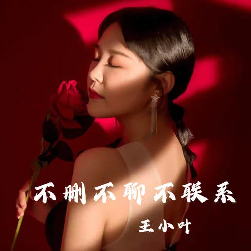 不删不聊不联系-王小叶