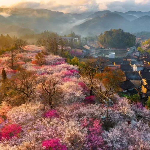 《哪吒2》主題曲  此生無憾-清樂