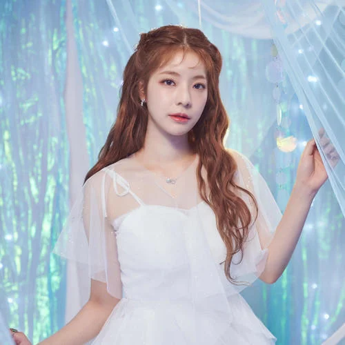 傻瓜-???&鄭容和