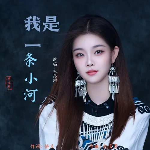 我是一條小河（DJ版）-王思雨