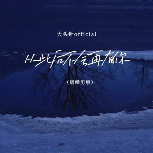 從此后不會(huì)再有你 (（煙嗓男版）)-大頭針 Official