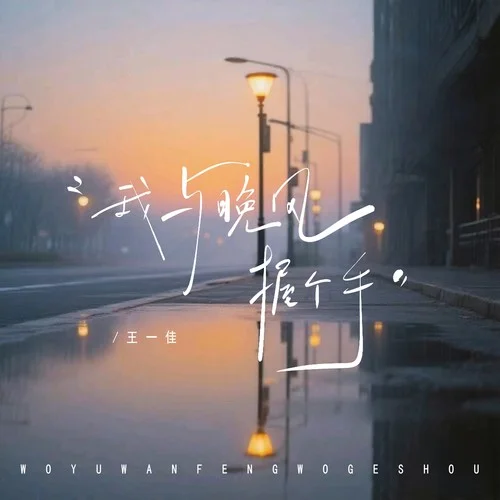 我与晚风握个手(DJ阿尼版)-王一佳