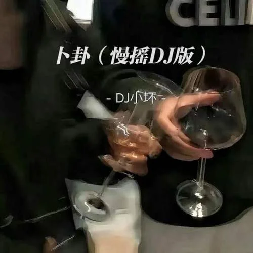 卜卦(慢摇DJ版)-DJ小坏