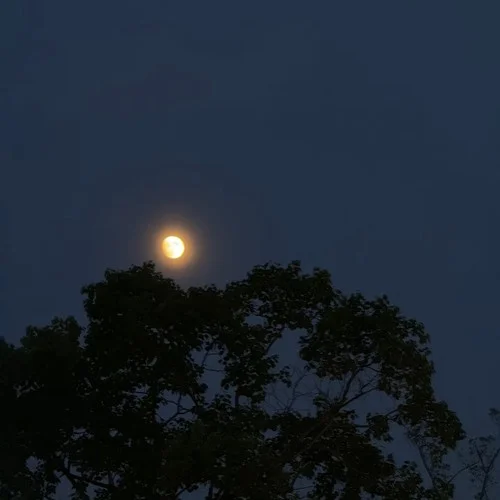 鬼迷心竅 (女版)-白一莎