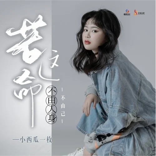 若这命不由人身不由己-小西瓜一枚