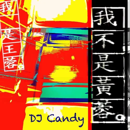 我不是黃蓉(DJcandy Mix)-王蓉