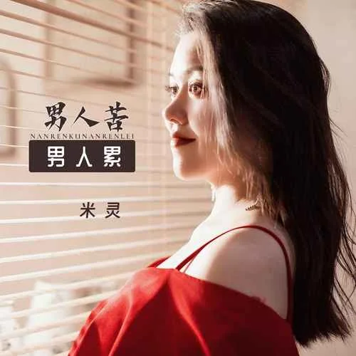 男人苦男人累(DJ默涵版)-米靈