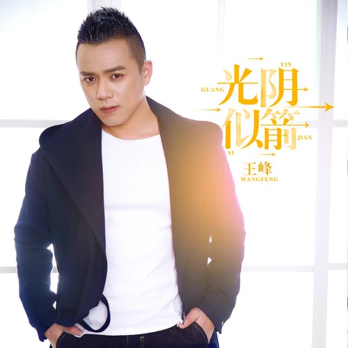 光陰似箭(DJ何鵬版)-王峰