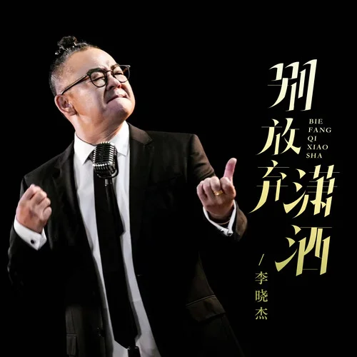 別放棄瀟灑 (DJ默涵版)-李曉杰