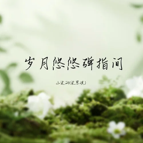 歲月悠悠彈指間-小梁的（梁思琪）