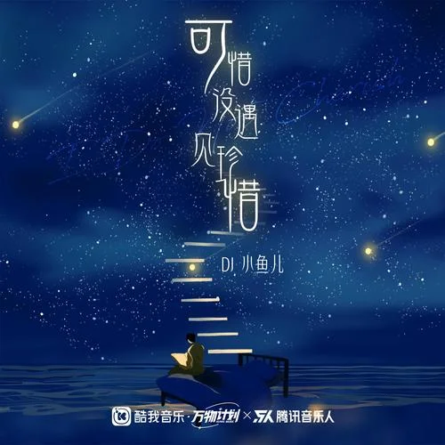 可惜没遇见珍惜-DJ小鱼儿