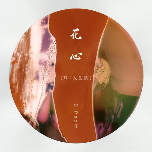 花心(DJ女生版)-DjPad仔