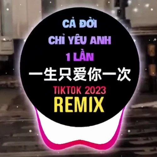 秋天結的果 春天開的花dj歌曲抖音車載-老男孩