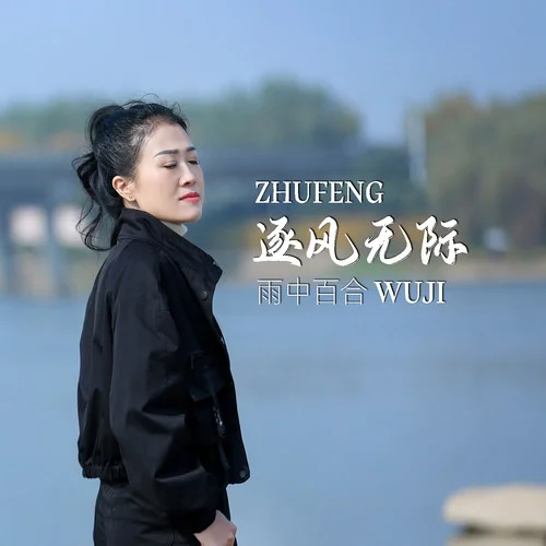 逐风无际-雨中百合