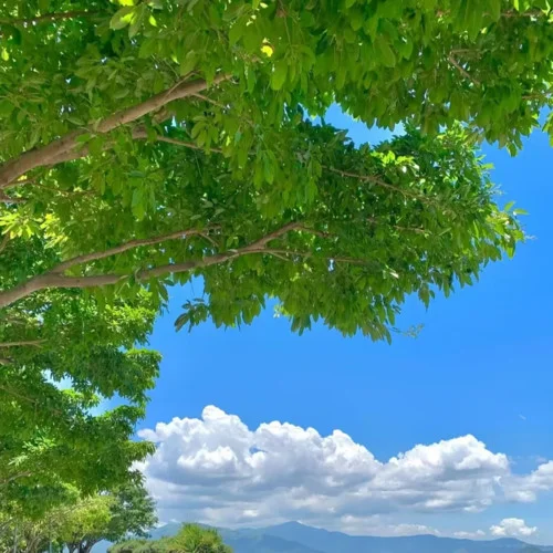 NOP (治愈版)-Vrauy