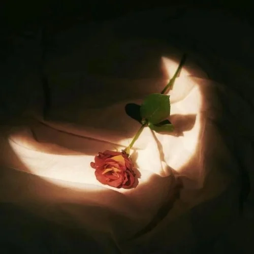 探故知(DJ版)-XiaoAi