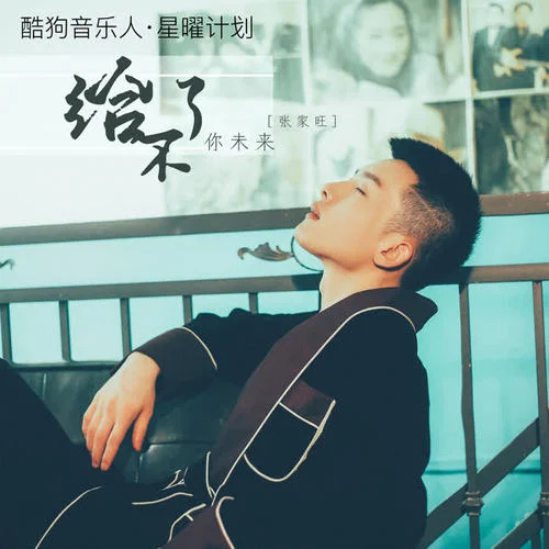 给不了你未来-张家旺