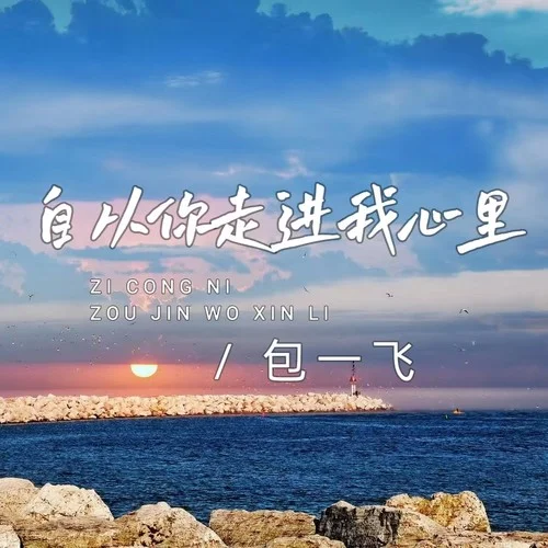 自從你走進我心里-包一飛