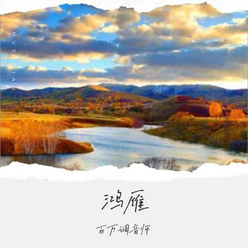 鴻雁(世界杯背景音樂)-百萬調(diào)音師