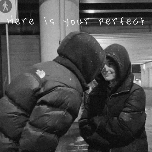 Here is Your Perfect-Ebmusic