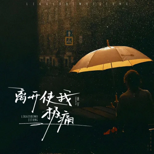 離開使我極痛-善宇