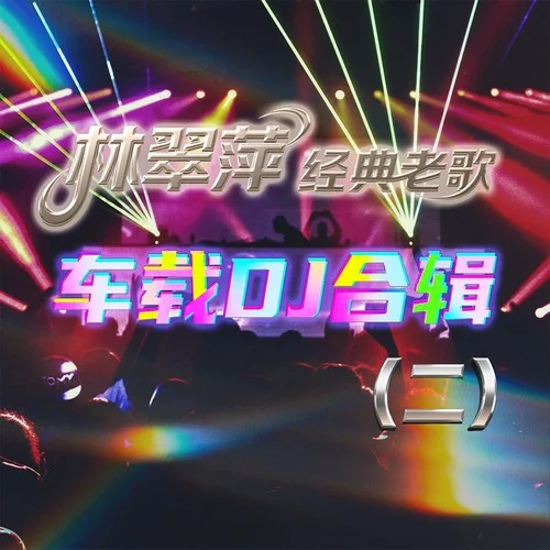 綿綿細(xì)雨的夜晚 (DJ九零版)-林翠萍