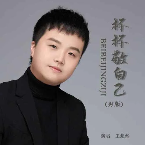 杯杯敬自己(DJ默涵男版)-王超然