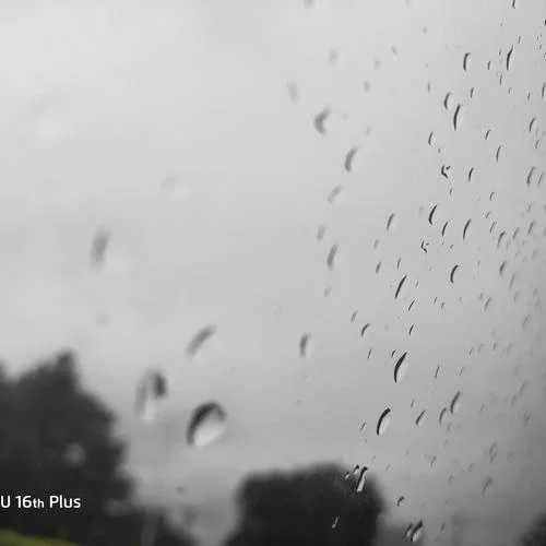 Magnolia (簡變速版)-keshi