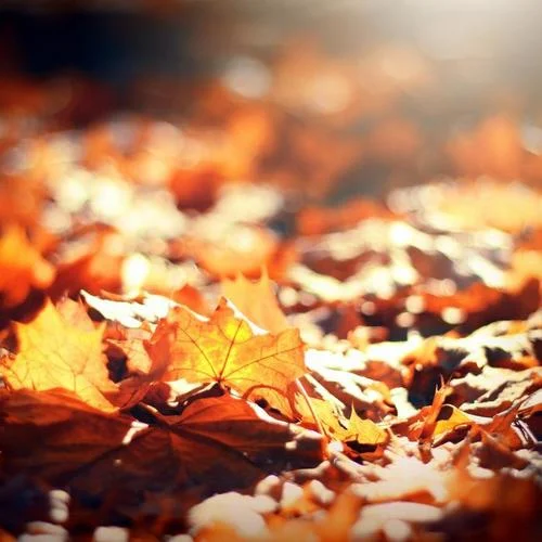 我懷念的只是時(shí)光-明日未來(lái)