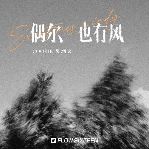 偶爾也有風(fēng)-吳炳文Cookie