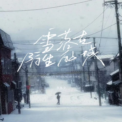 雪落在陌生的城-李林夕