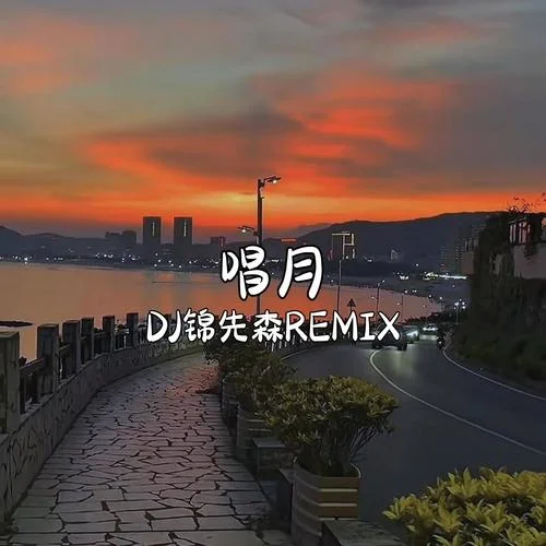 唱月 (DJ錦先森 Remix)-DJ錦先森