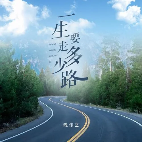 一生要走多少路-魏佳藝