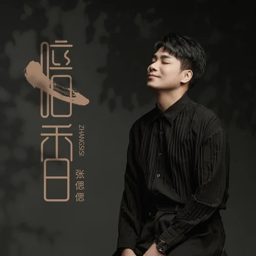 暗香 (DJ九零版)-張偲偲