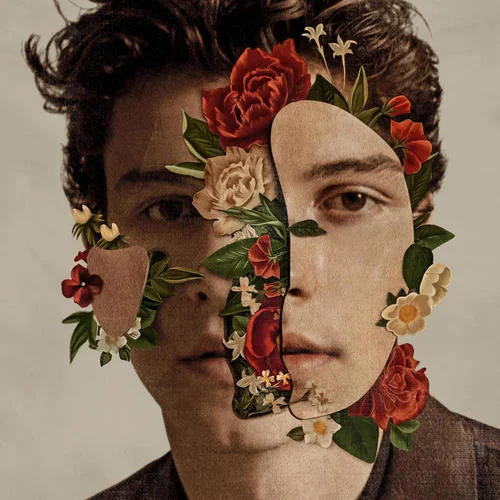 Perfectly Wrong-Shawn Mendes