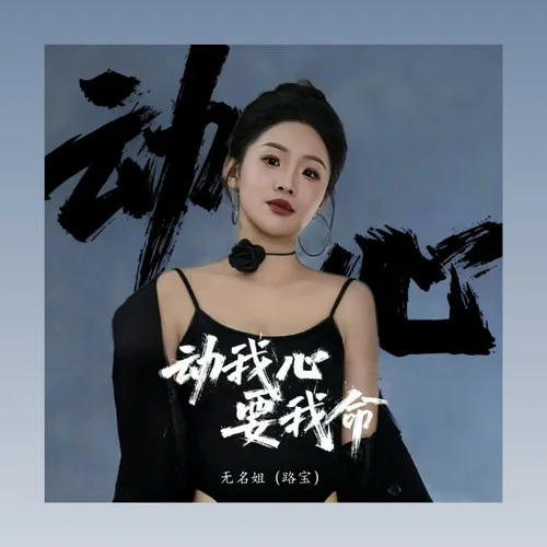 动我心要我命-无名姐(路宝)