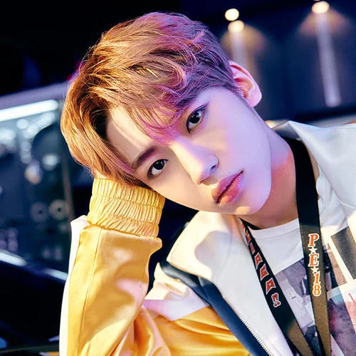 바람따라-차웅기