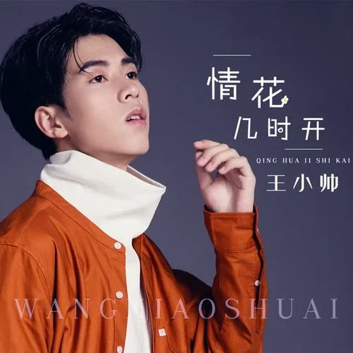 情花幾時(shí)開(kāi)(男版)-王小帥