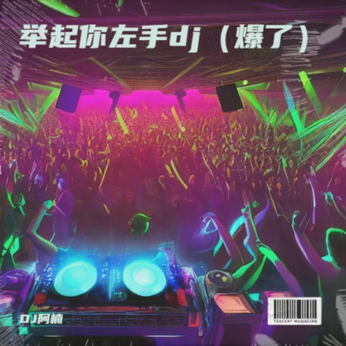 精衛(wèi)dj（remix）-DJ阿楠