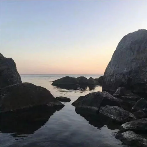 北鼻打了扒拉舅(DJ版)-尼克斯