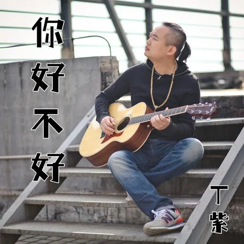 你好不好(伴奏)-丁紫