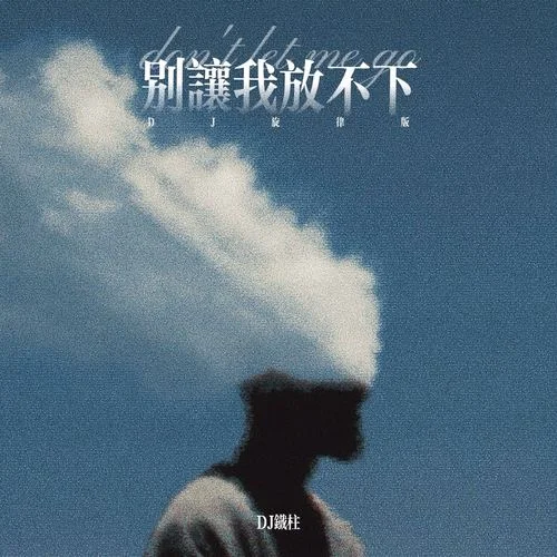 别让我放不下 (DJ旋律版)-DJ铁柱