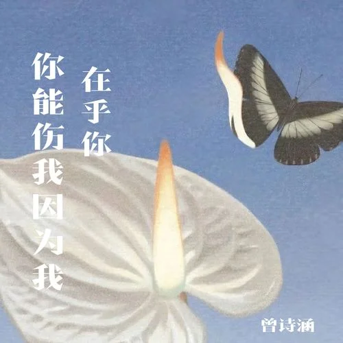 你能傷我因?yàn)槲以诤跄?曾詩(shī)涵